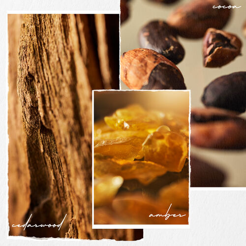 Smooth Perfection Shampoo - Hair Care | L'Oréal Partner Shop